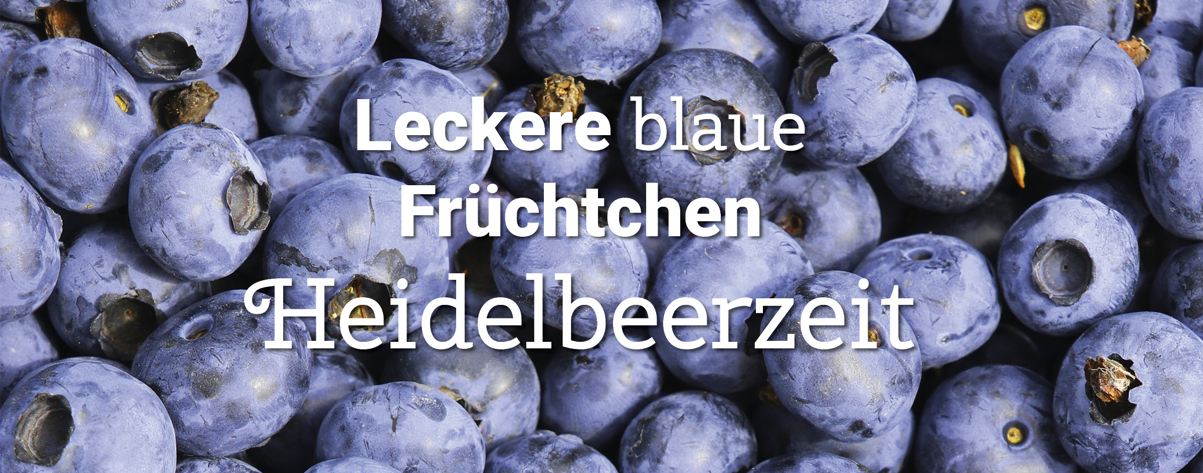 Nahaufnahme von Heidelbeeren mit dem Text 'Leckere blaue Früchtchen Heidelbeerzeit' mittig platziert.