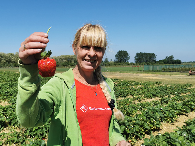 schwanteland_selbsternte_ueber_uns_3