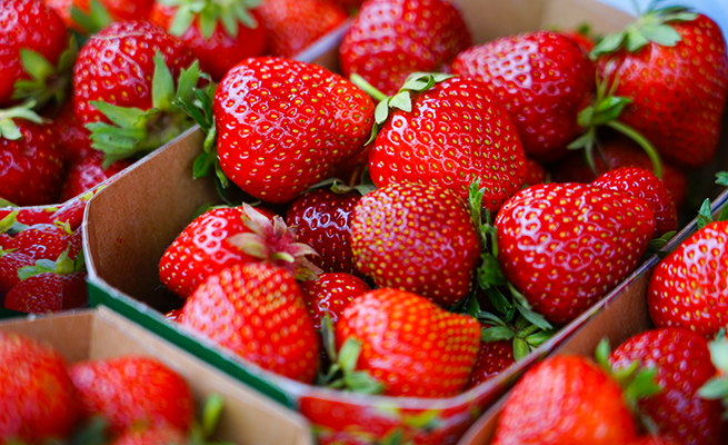 Mehrere Erdbeeren verschiedener Sorten liegen dicht beieinander in offenen Pappschalen. Die Früchte sind leuchtend rot, glänzend und zeigen unterschiedliche Größen und Formen. Die grünen Kelchblätter sind bei vielen Erdbeeren deutlich sichtbar. Im Hintergrund sind weitere Erdbeeren und Teile der Schalen zu erkennen.