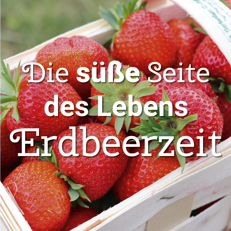 Nahaufnahme eines Korbs mit reifen, roten Erdbeeren und grünen Blättern, darüber der Text 'Die süße Seite des Lebens Erdbeerzeit'.