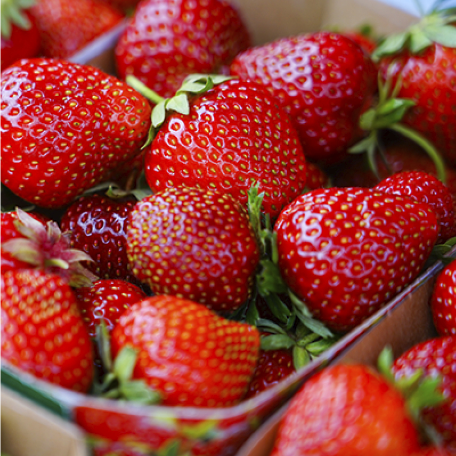 Mehrere Erdbeeren verschiedener Sorten liegen dicht beieinander in offenen Pappschalen. Die Früchte sind leuchtend rot, glänzend und zeigen unterschiedliche Größen und Formen. Die grünen Kelchblätter sind bei vielen Erdbeeren deutlich sichtbar. Im Hintergrund sind weitere Erdbeeren und Teile der Schalen zu erkennen.
