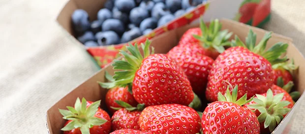 Zwei Pappschalen mit frischen Erdbeeren und Heidelbeeren auf einer hellen Oberfläche