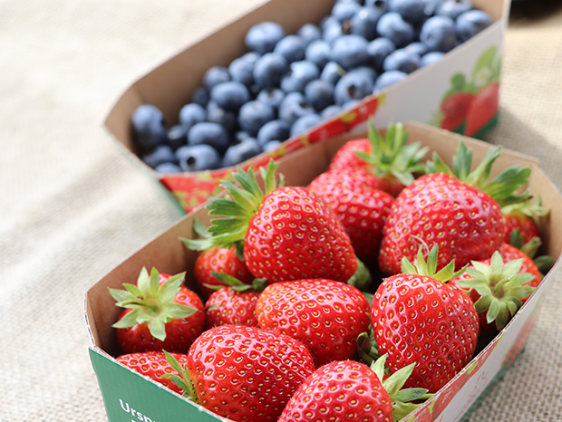 Zwei Pappschalen mit frischen Erdbeeren und Heidelbeeren auf einer hellen Oberfläche