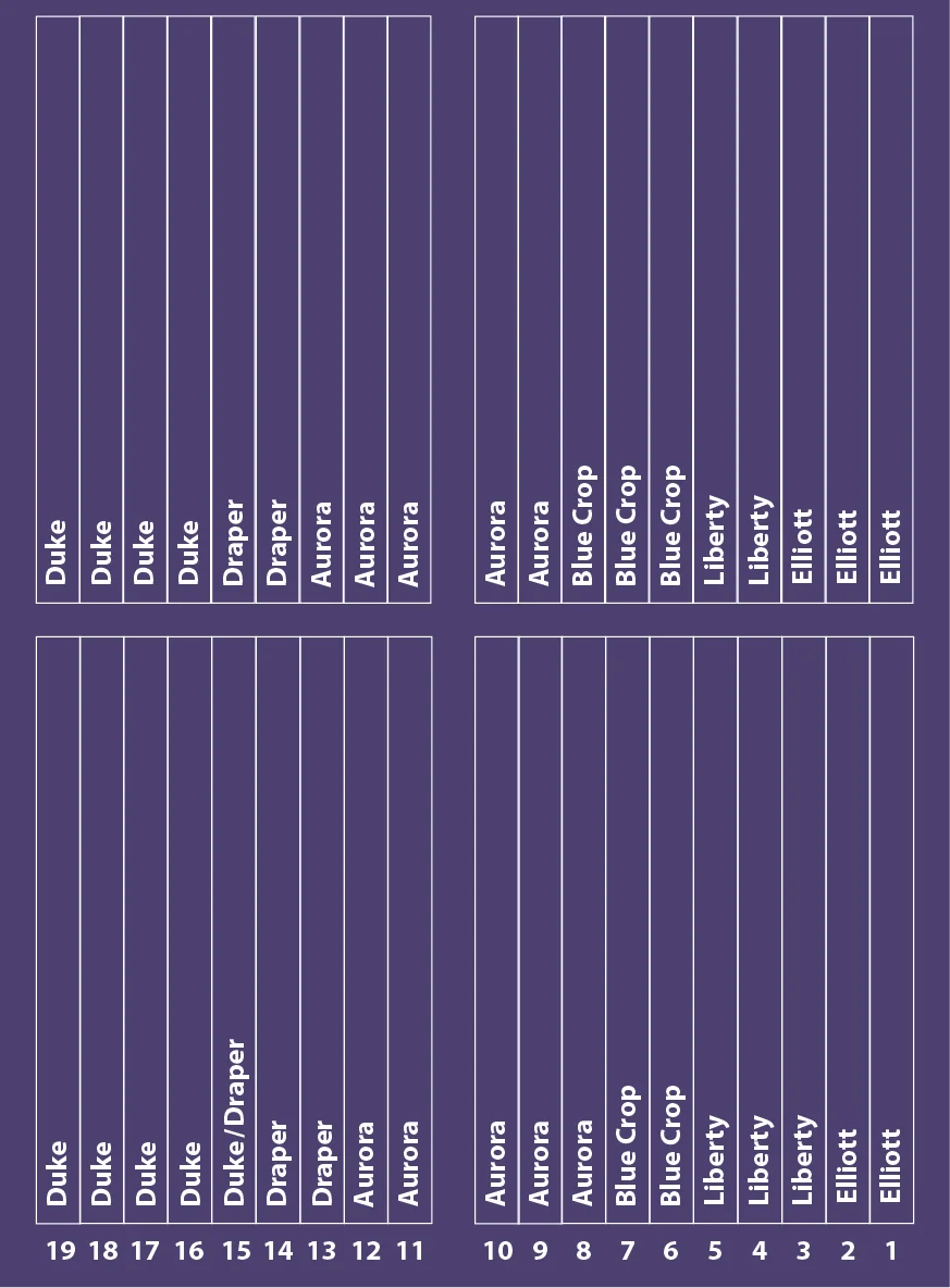 Rote Tabelle mit weißer Schrift, die verschiedene Erdbeersorten und zugehörige Zahlen zeigt. Die Sorten sind in rechteckigen Feldern angeordnet: 'Rendezvous' mit 8, 'Twist' mit 20, 'Verdi' mit 12, 'Asia' mit 24, zweimal 'Faith' mit 3 und 15, 'Fernando' mit 12 und 'Malwina' mit 44. Die Felder sind unterschiedlich groß und aneinander ausgerichtet.