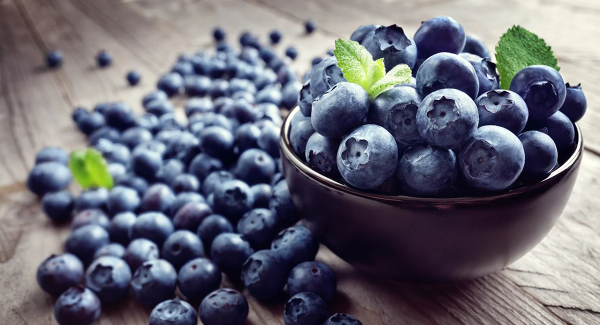 Heidelbeeren_gesund_Schwanteland_selbsternte_1200px Schale mit Heidelbeeren und Minzblättern auf einem Holztisch, daneben lose Heidelbeeren.