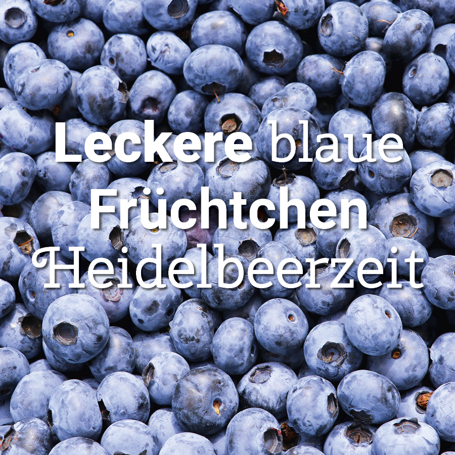 Nahaufnahme von Heidelbeeren mit dem Text 'Leckere blaue Früchtchen Heidelbeerzeit' mittig platziert.