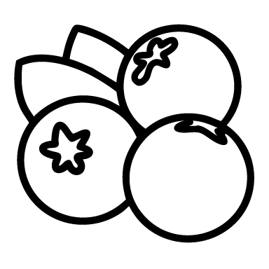 heidelbeere_kontur Schwarz-weiße Linienzeichnung von zwei ganzen und einer angeschnittenen Heidelbeere mit stilisierten Blütennarben.